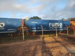 RUMO HTT-353183-0